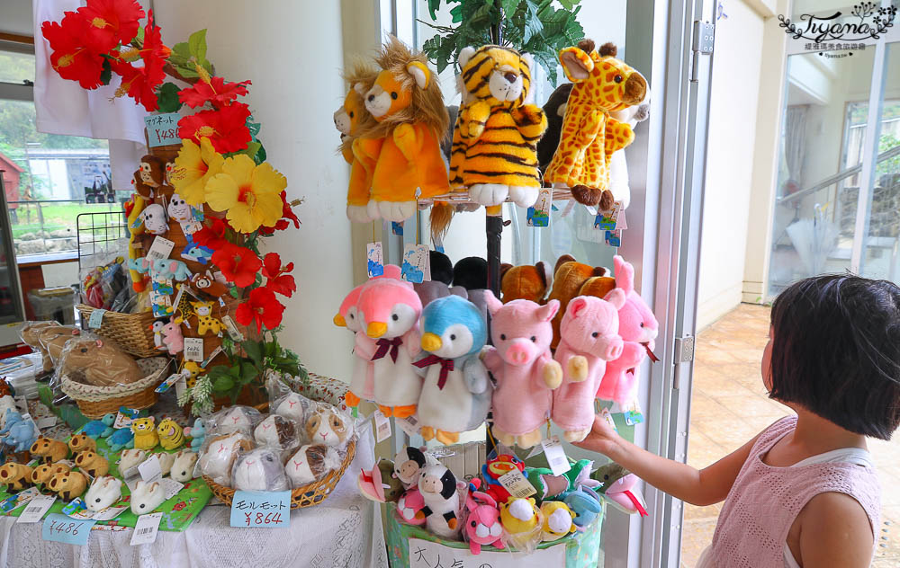 沖繩景點|名護自然動植物公園：親子必遊~和水豚君.小動物近距離互動 @緹雅瑪 美食旅遊趣