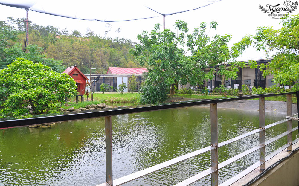 沖繩景點|名護自然動植物公園：親子必遊~和水豚君.小動物近距離互動 @緹雅瑪 美食旅遊趣