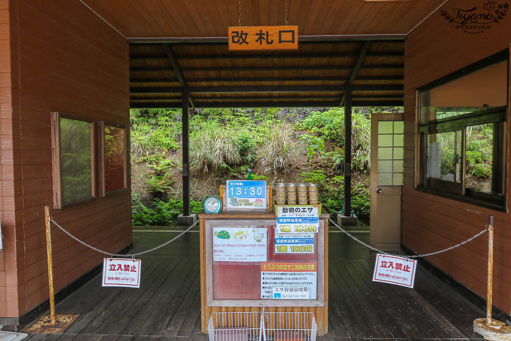 沖繩景點|名護自然動植物公園：親子必遊~和水豚君.小動物近距離互動 @緹雅瑪 美食旅遊趣