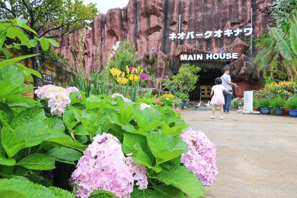 沖繩景點|名護自然動植物公園：親子必遊~和水豚君.小動物近距離互動 @緹雅瑪 美食旅遊趣