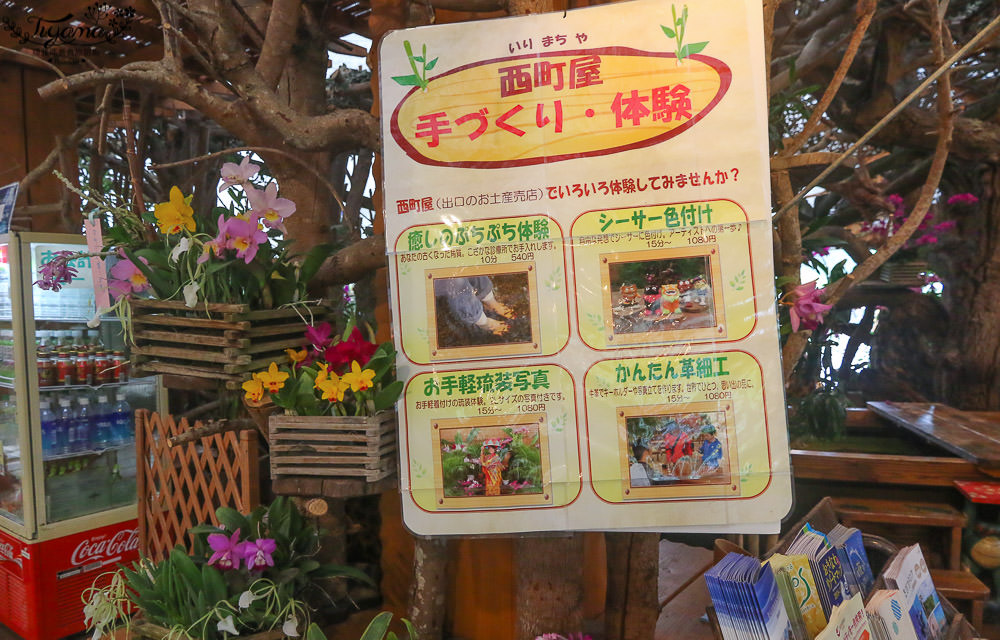 沖繩景點必買~沖繩樂遊美麗海套票Enjoy Pass：美麗海水族館+4或12處通用入場券 @緹雅瑪 美食旅遊趣