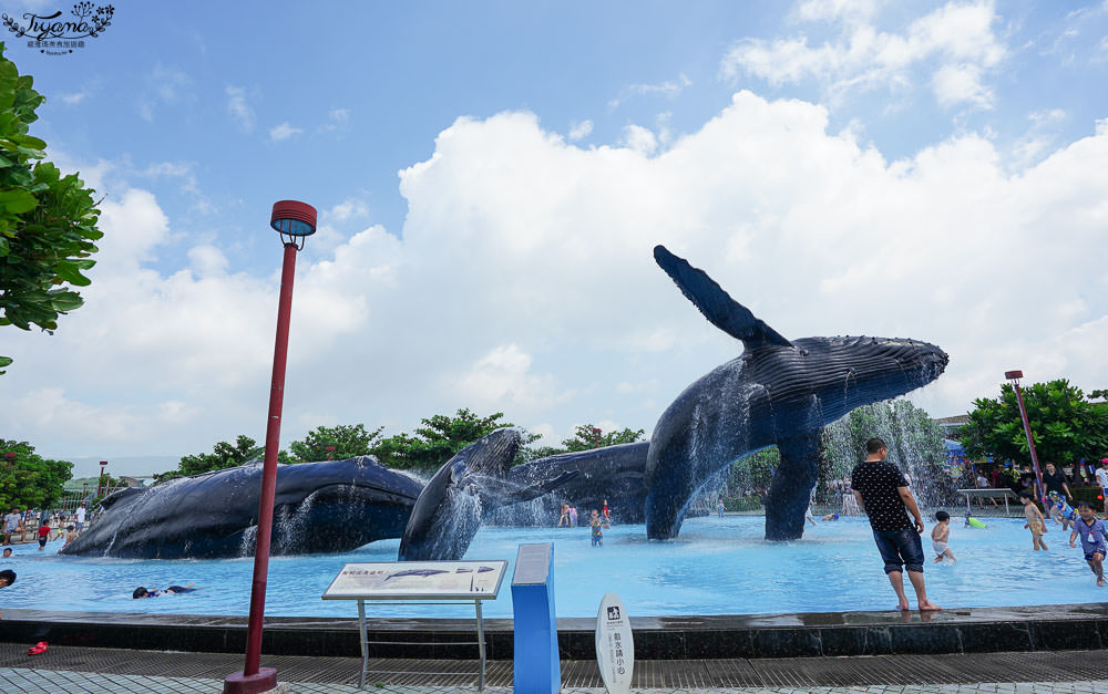 屏東海生館|屏東國立海洋生物博物館：夜宿海生館.VR體驗.珊瑚王國館後台導覽，好好玩！！ @緹雅瑪 美食旅遊趣