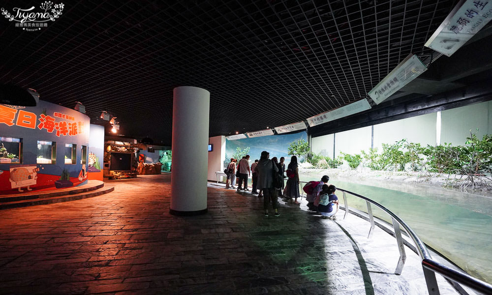 海生館餵食企鵝|屏東海生館夜宿，來去海生館住一晚！ @緹雅瑪 美食旅遊趣