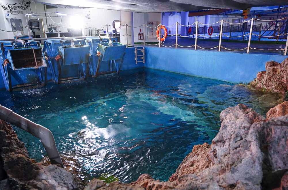 海生館餵食企鵝|屏東海生館夜宿，來去海生館住一晚！ @緹雅瑪 美食旅遊趣