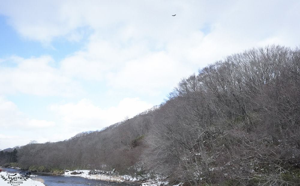 北海道深度之旅，SENTŌ青年旅店，住宿結合八雲町在地體驗，扇貝船體驗，干貝刺身現開現吃！ @緹雅瑪 美食旅遊趣