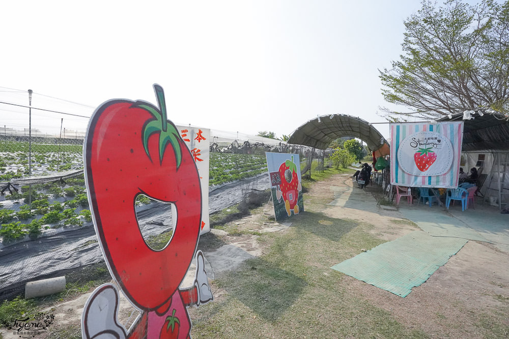 高雄採草莓，三本鮮莓園，採草莓囉！！大崗山超峰寺參拜後的親子旅遊 @緹雅瑪 美食旅遊趣