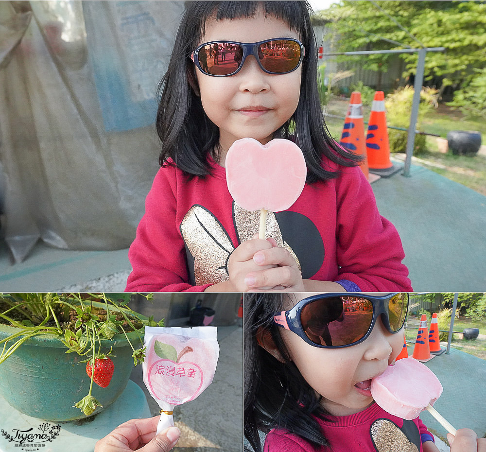 高雄採草莓，三本鮮莓園，採草莓囉！！大崗山超峰寺參拜後的親子旅遊 @緹雅瑪 美食旅遊趣