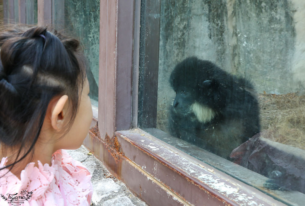 高雄動物園|壽山動物園：兒童牧場免費餵羊趣，高雄人氣親子景點 @緹雅瑪 美食旅遊趣