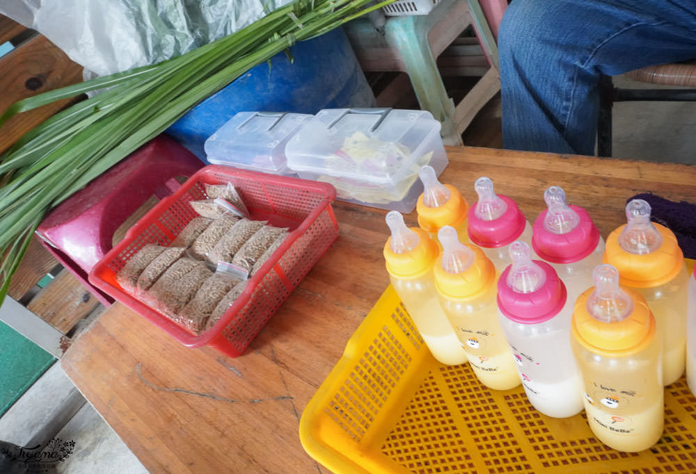 台南柳營景點|八老爺車站 乳牛的家，五分火車、鐵路餐廳、餵動物 @緹雅瑪 美食旅遊趣