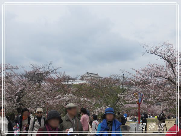 【神戶景點】姬路城.姬路市立動物園賞櫻.姬路旅遊券 @緹雅瑪 美食旅遊趣