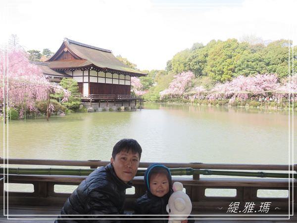 【京都景點】平安神宮賞櫻.平安神宮神苑泰平閣 @緹雅瑪 美食旅遊趣