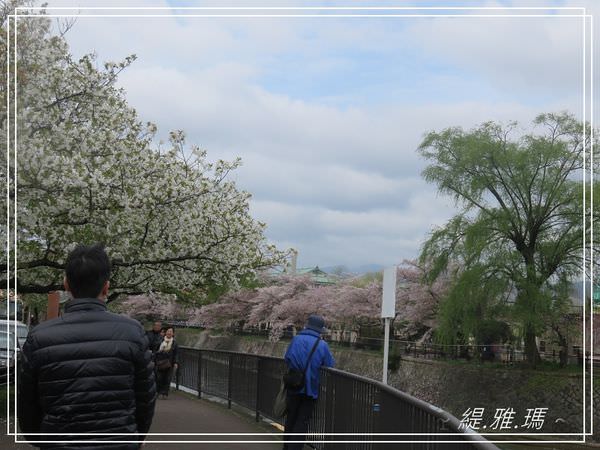 【京都景點】蹴上傾斜鐵道.岡崎疏水賞櫻 @緹雅瑪 美食旅遊趣