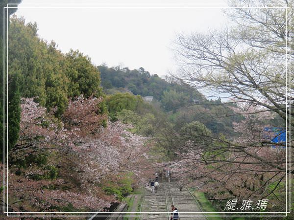 【京都景點】蹴上傾斜鐵道.岡崎疏水賞櫻 @緹雅瑪 美食旅遊趣