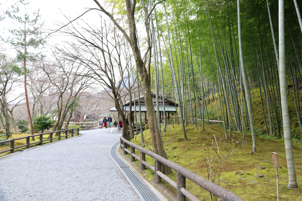 【京都景點】嵐山必遊：天龍寺.嵐山公園.渡月橋 @緹雅瑪 美食旅遊趣