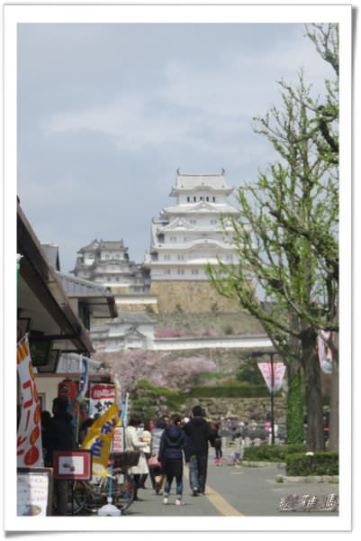 【神戶景點】姬路城.姬路市立動物園賞櫻.姬路旅遊券 @緹雅瑪 美食旅遊趣