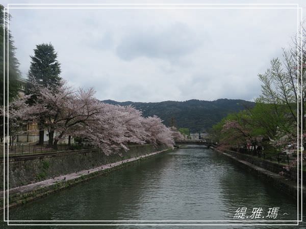 【京都景點】蹴上傾斜鐵道.岡崎疏水賞櫻 @緹雅瑪 美食旅遊趣