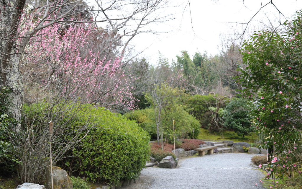 【京都景點】嵐山必遊：天龍寺.嵐山公園.渡月橋 @緹雅瑪 美食旅遊趣