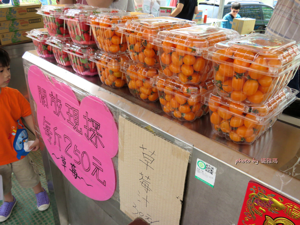 【高雄.阿蓮區】三本鮮莓園，安全蔬果認証草莓園 @緹雅瑪 美食旅遊趣