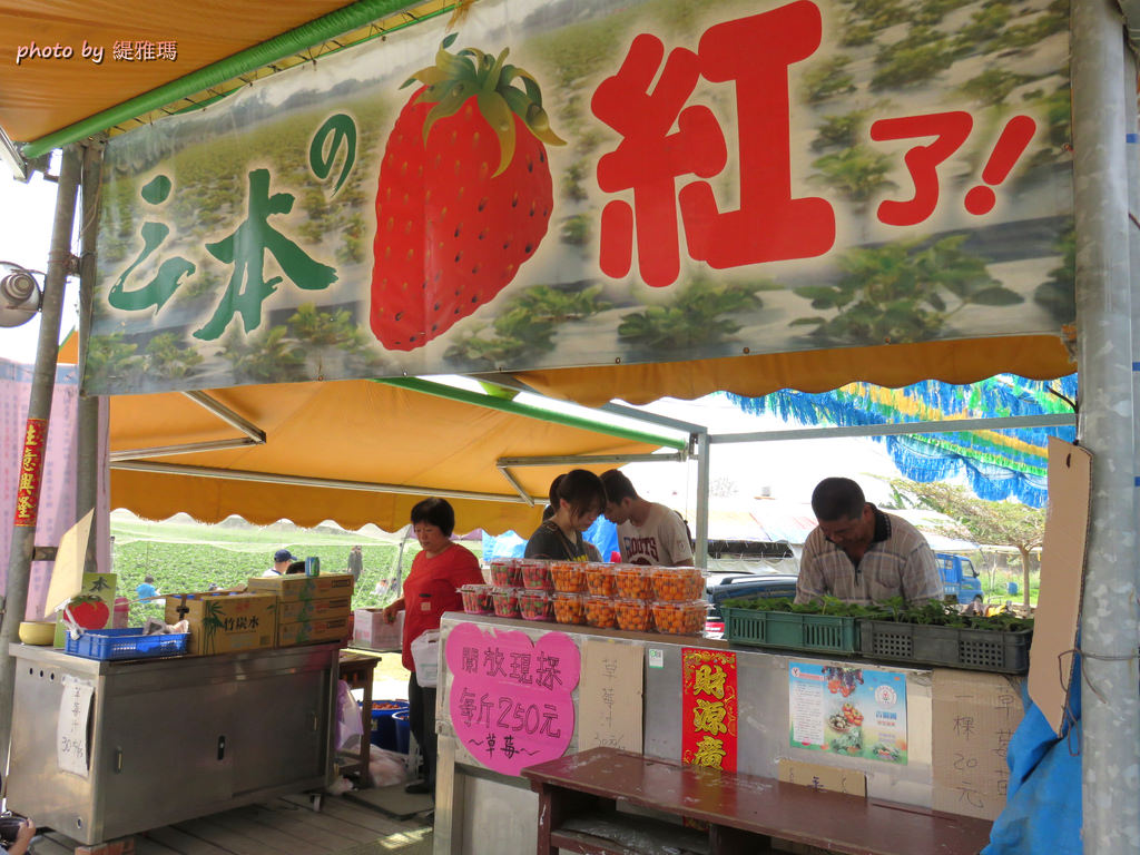 【高雄.阿蓮區】三本鮮莓園，安全蔬果認証草莓園 @緹雅瑪 美食旅遊趣