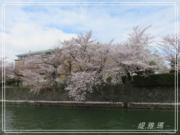 【京都景點】蹴上傾斜鐵道.岡崎疏水賞櫻 @緹雅瑪 美食旅遊趣