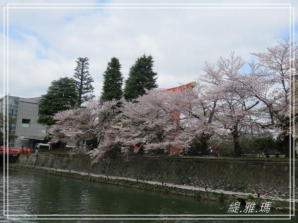 【京都景點】蹴上傾斜鐵道.岡崎疏水賞櫻 @緹雅瑪 美食旅遊趣