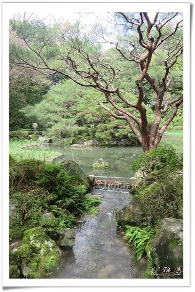 【京都景點】平安神宮賞櫻.平安神宮神苑泰平閣 @緹雅瑪 美食旅遊趣