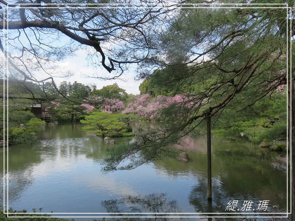 【京都景點】平安神宮賞櫻.平安神宮神苑泰平閣 @緹雅瑪 美食旅遊趣