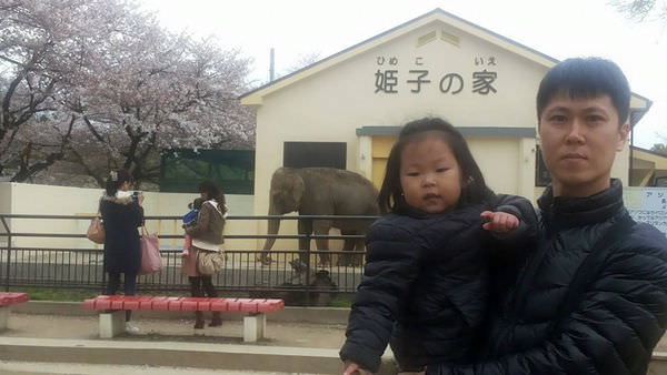 【神戶景點】姬路城.姬路市立動物園賞櫻.姬路旅遊券 @緹雅瑪 美食旅遊趣