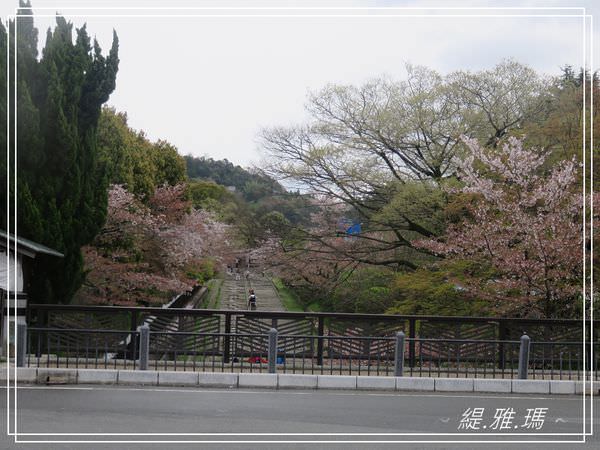 【京都景點】蹴上傾斜鐵道.岡崎疏水賞櫻 @緹雅瑪 美食旅遊趣