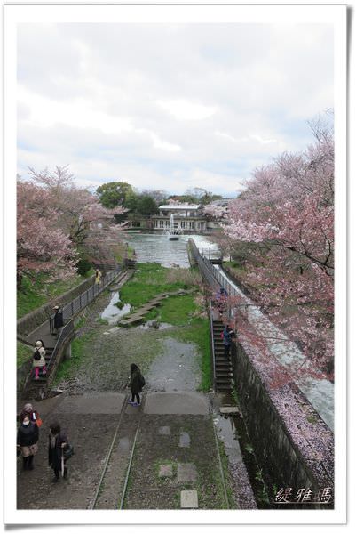 【京都景點】蹴上傾斜鐵道.岡崎疏水賞櫻 @緹雅瑪 美食旅遊趣