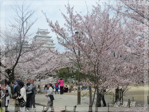 【神戶景點】姬路城.姬路市立動物園賞櫻.姬路旅遊券 @緹雅瑪 美食旅遊趣