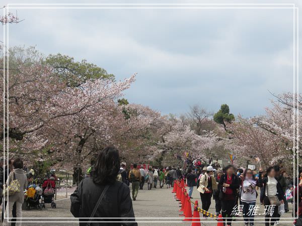 【神戶景點】姬路城.姬路市立動物園賞櫻.姬路旅遊券 @緹雅瑪 美食旅遊趣