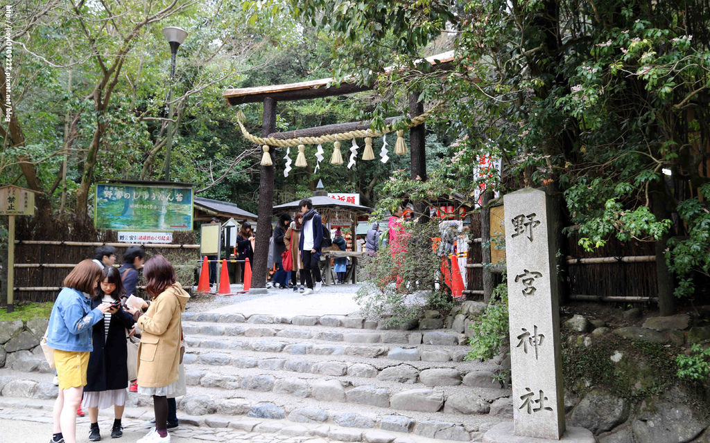 【京都景點】嵯峨野竹林.野宮神社。嵐山必訪 @緹雅瑪 美食旅遊趣