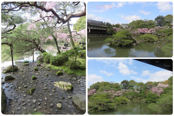 【京都景點】平安神宮賞櫻.平安神宮神苑泰平閣 @緹雅瑪 美食旅遊趣