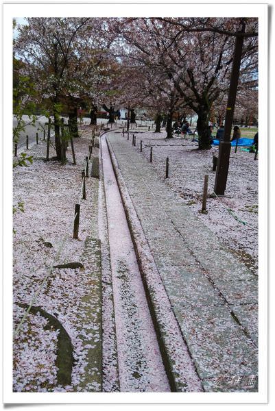 【神戶景點】姬路城.姬路市立動物園賞櫻.姬路旅遊券 @緹雅瑪 美食旅遊趣