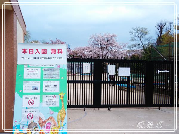 【神戶景點】姬路城.姬路市立動物園賞櫻.姬路旅遊券 @緹雅瑪 美食旅遊趣