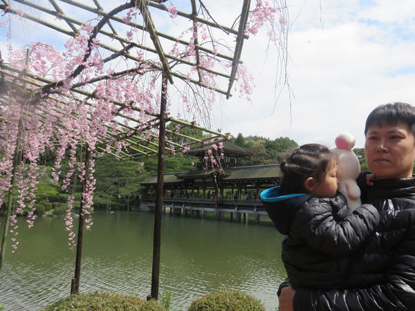 【京都景點】平安神宮賞櫻.平安神宮神苑泰平閣 @緹雅瑪 美食旅遊趣