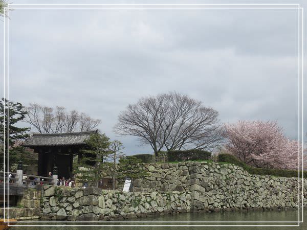 【神戶景點】姬路城.姬路市立動物園賞櫻.姬路旅遊券 @緹雅瑪 美食旅遊趣