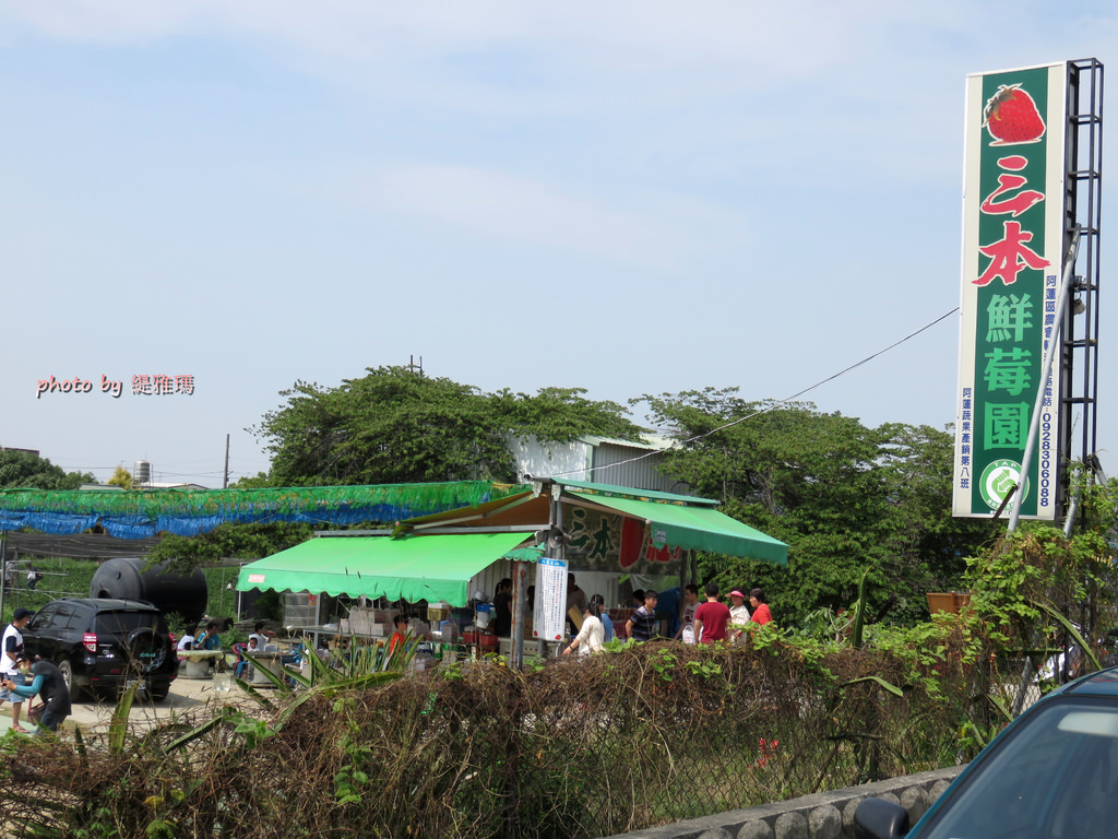 【高雄.阿蓮區】三本鮮莓園，安全蔬果認証草莓園 @緹雅瑪 美食旅遊趣