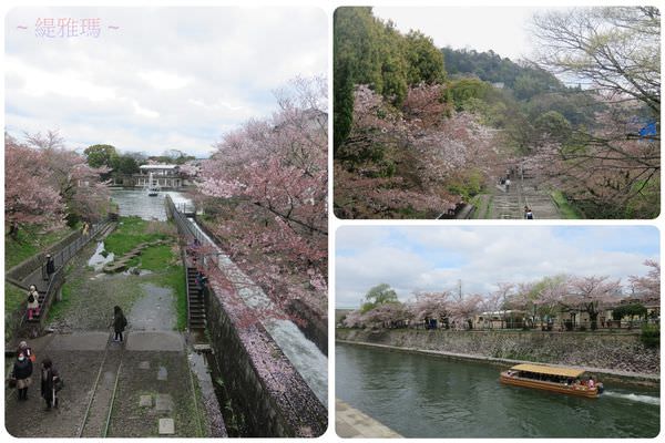 【京都景點】蹴上傾斜鐵道.岡崎疏水賞櫻 @緹雅瑪 美食旅遊趣