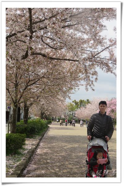 【神戶景點】姬路城.姬路市立動物園賞櫻.姬路旅遊券 @緹雅瑪 美食旅遊趣