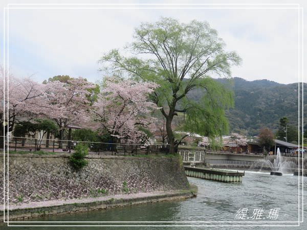 【京都景點】蹴上傾斜鐵道.岡崎疏水賞櫻 @緹雅瑪 美食旅遊趣