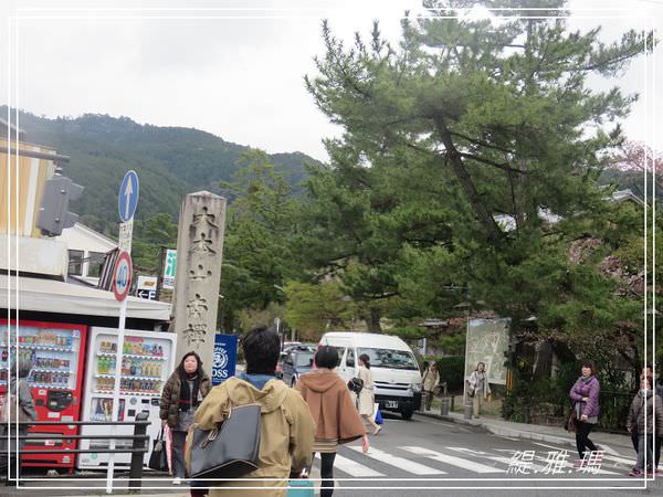 【京都景點】蹴上傾斜鐵道.岡崎疏水賞櫻 @緹雅瑪 美食旅遊趣