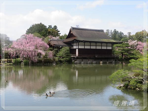 【京都景點】平安神宮賞櫻.平安神宮神苑泰平閣 @緹雅瑪 美食旅遊趣