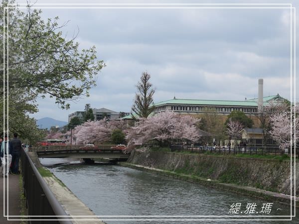 【京都景點】蹴上傾斜鐵道.岡崎疏水賞櫻 @緹雅瑪 美食旅遊趣