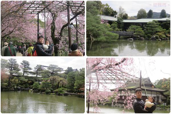 【京都景點】平安神宮賞櫻.平安神宮神苑泰平閣 @緹雅瑪 美食旅遊趣