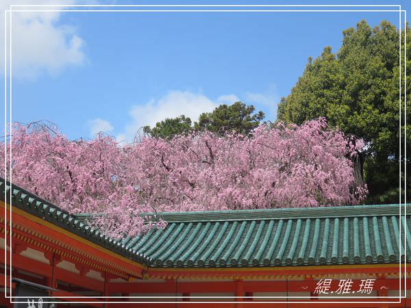 【京都景點】平安神宮賞櫻.平安神宮神苑泰平閣 @緹雅瑪 美食旅遊趣