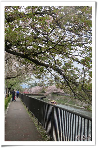 【京都景點】蹴上傾斜鐵道.岡崎疏水賞櫻 @緹雅瑪 美食旅遊趣