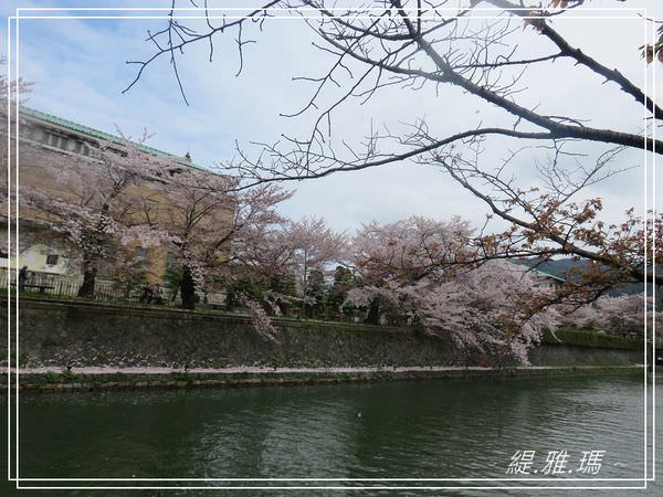 【京都景點】蹴上傾斜鐵道.岡崎疏水賞櫻 @緹雅瑪 美食旅遊趣