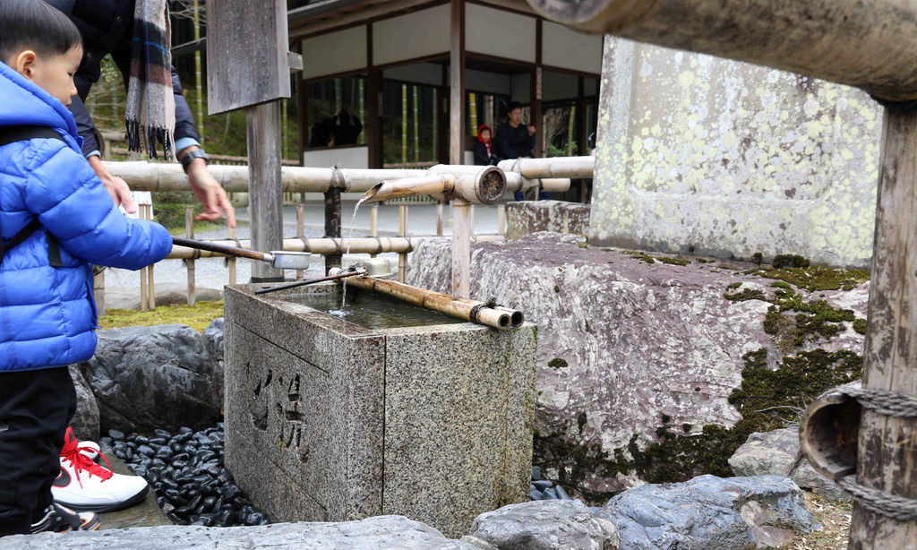 【京都景點】嵐山必遊：天龍寺.嵐山公園.渡月橋 @緹雅瑪 美食旅遊趣